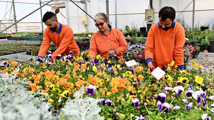 Antalya’da 130 Bin Çiçekle Görsel Şölen: Çiçek Desenleri Günleri Başlıyor