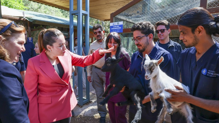 Antalya’da Veteriner Hekimler Günü Kutlandı