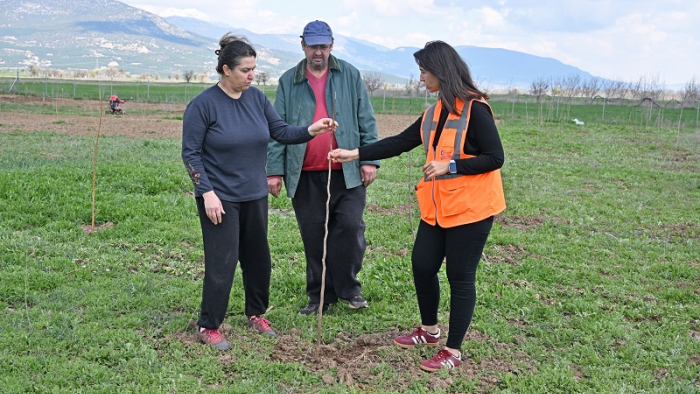 Korkuteli’nde İpek Böcekçiliği Başlıyor