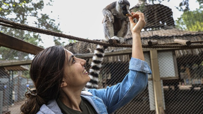 Antalya Doğal Yaşam Parkı’nda yavru lemur sevinci